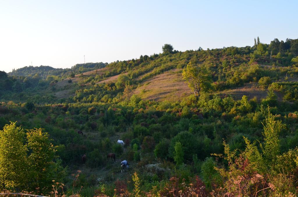 Apartments Fairy Land Rakovica Exterior foto