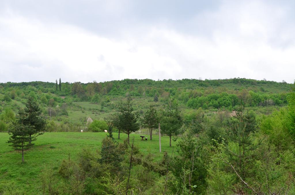 Apartments Fairy Land Rakovica Exterior foto